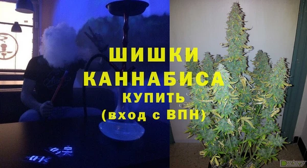 эйфоретик Осташков